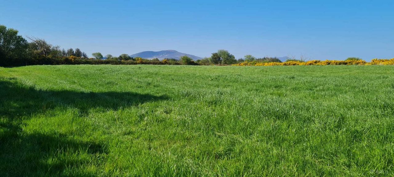 Upper Tullig Beg, Killorglin, Co. Kerry