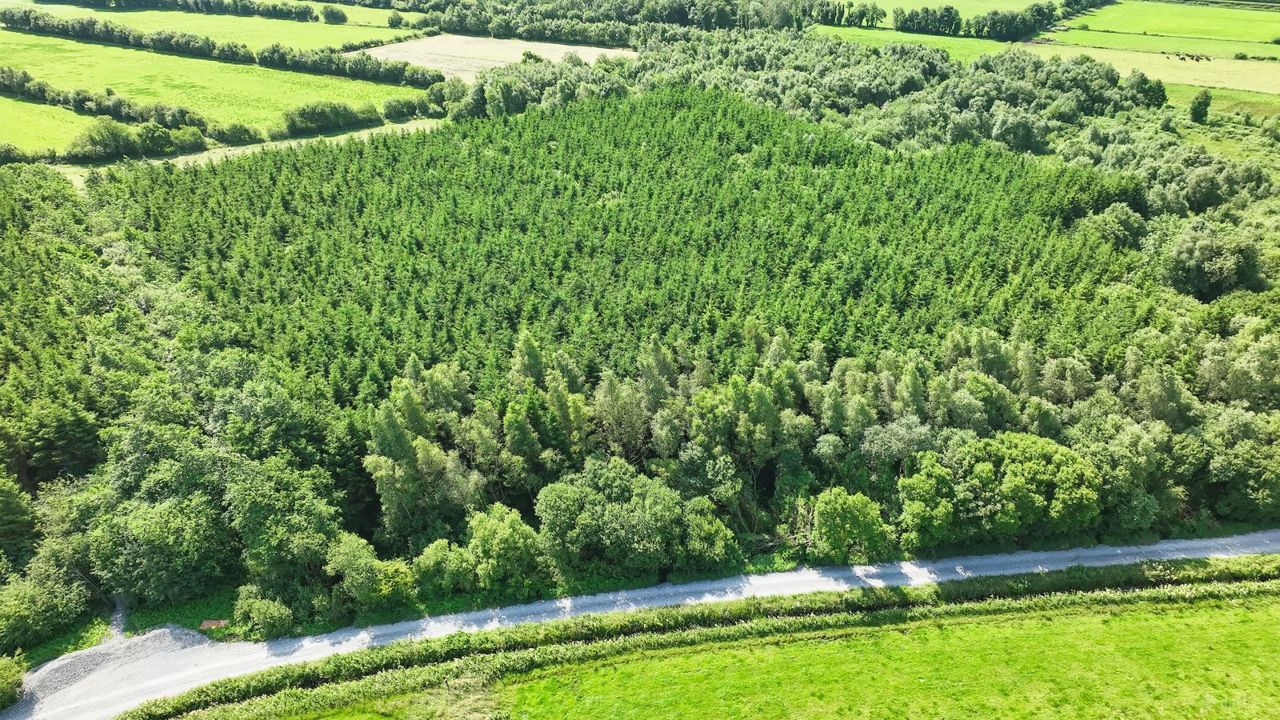 Croghan, Rhode, Co. Offaly
