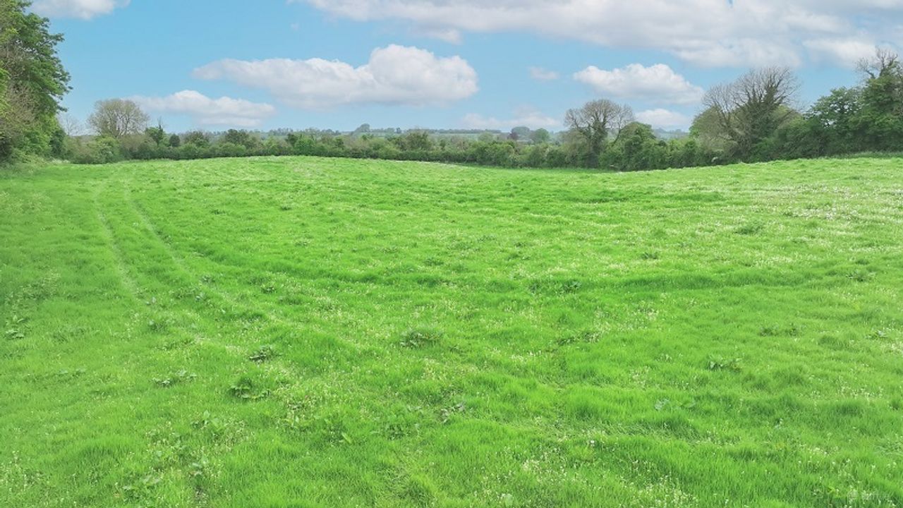 Porterstown, Killucan, Co. Westmeath