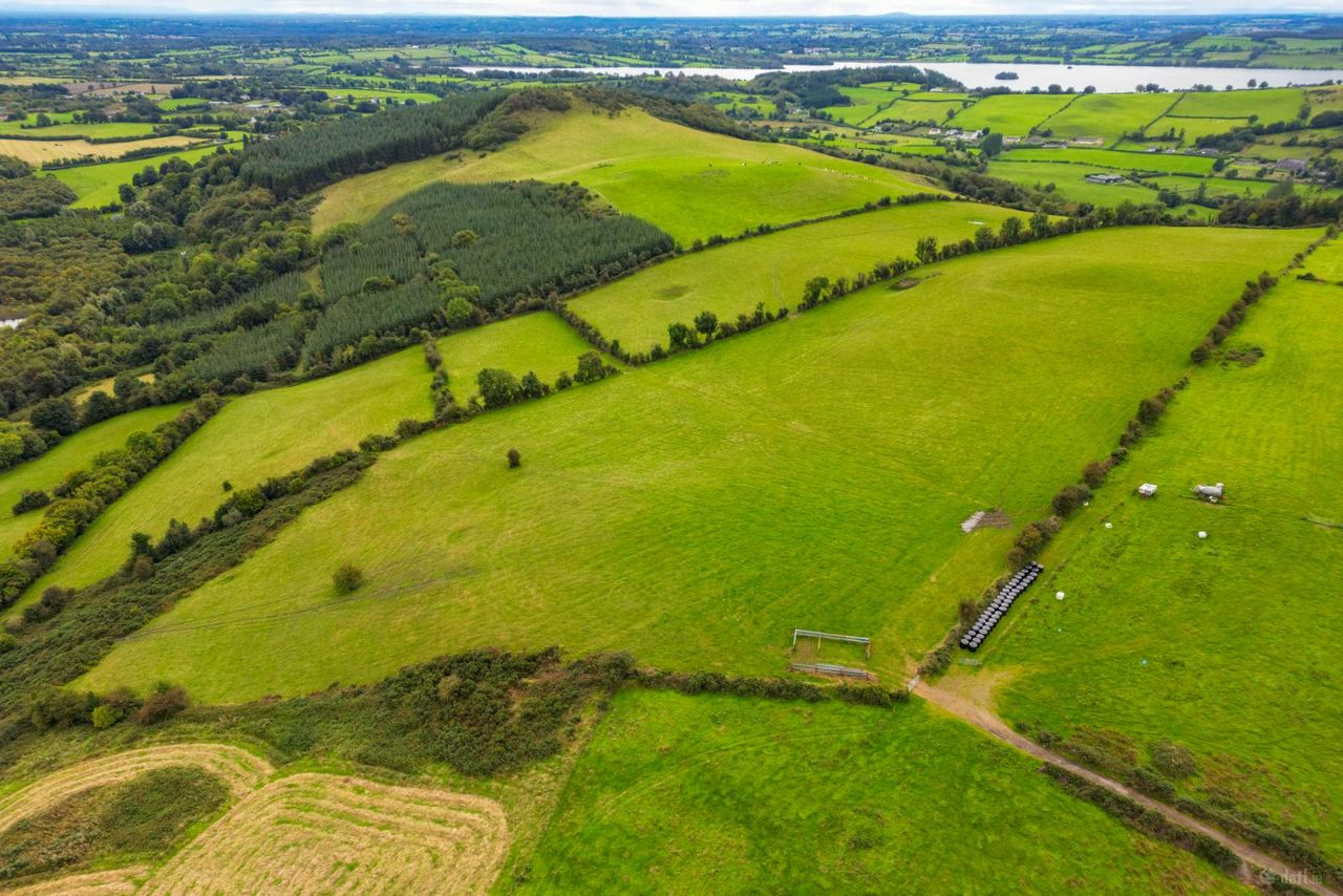 Ben of Fore, Castlepollard, Co. Westmeath