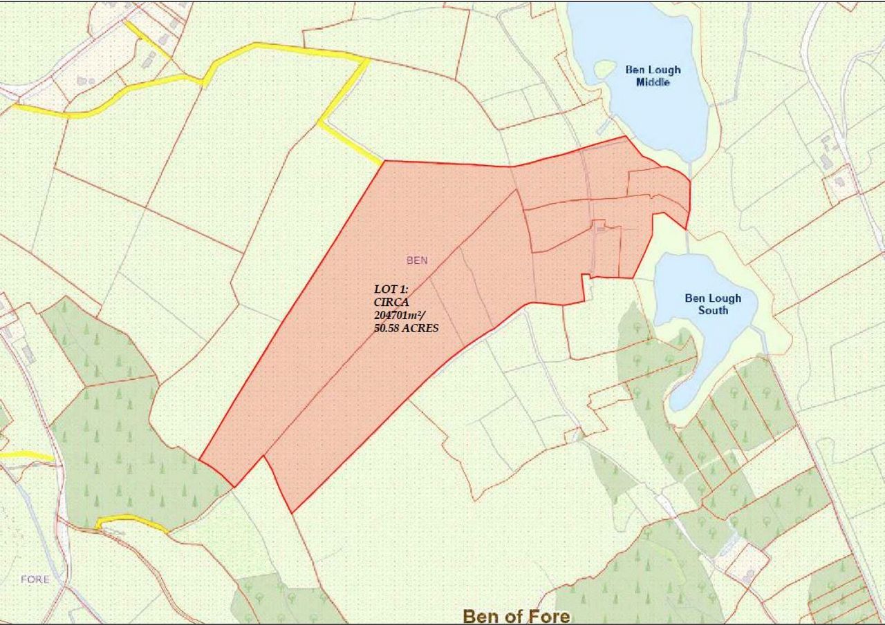 Ben of Fore, Castlepollard, Co. Westmeath