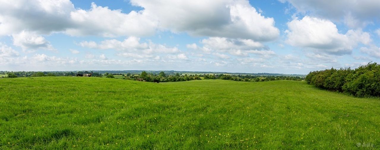 Slanemore, Mullingar, Co. Westmeath