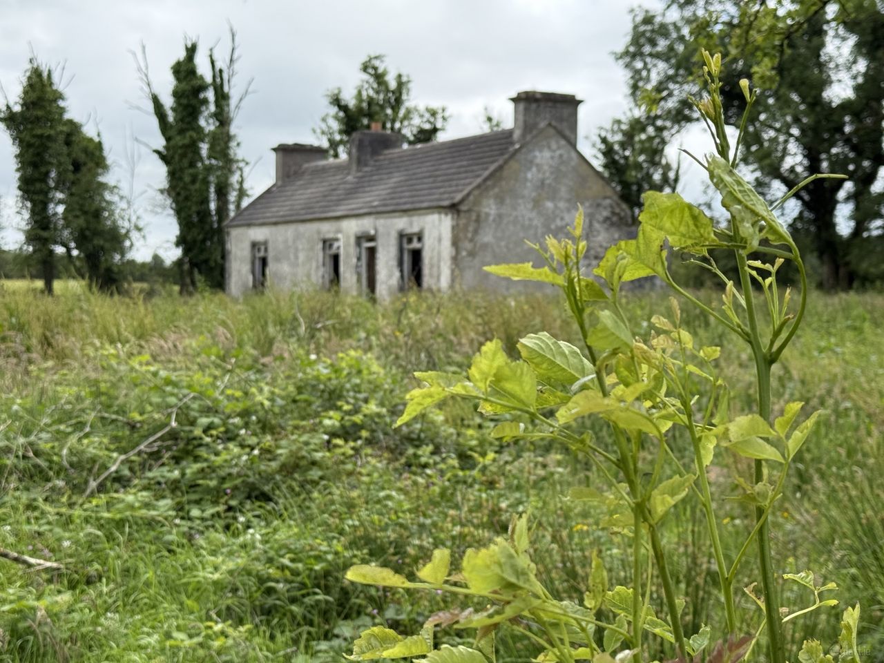 Addergoole, Kiltimagh, Co. Mayo - Detached house
