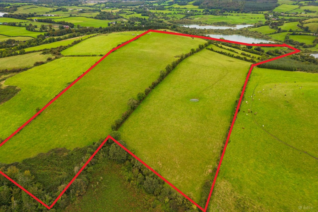 Ben of Fore, Castlepollard, Co. Westmeath