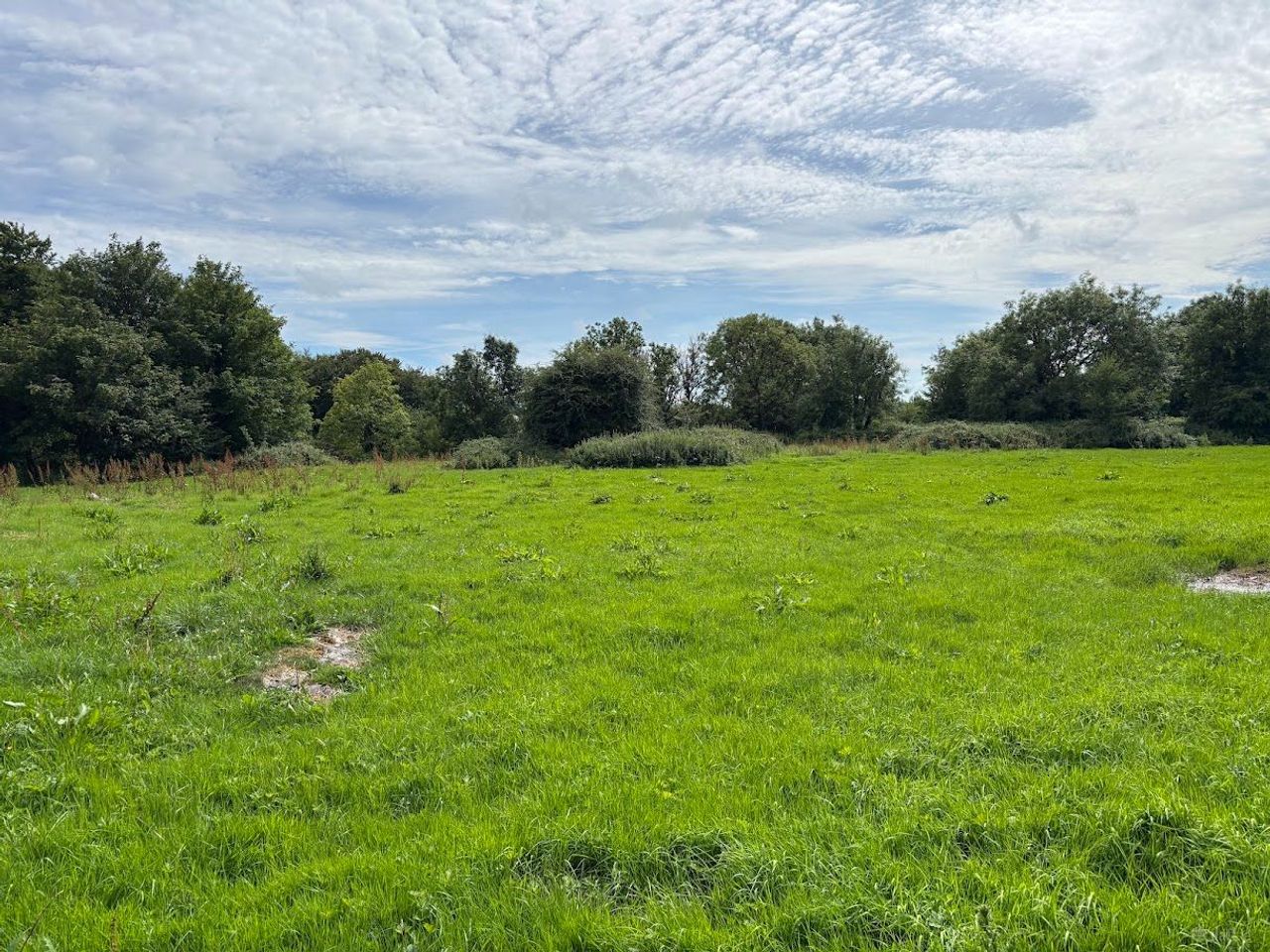 Caherloghan, Tulla, Co. Clare - Site For Sale