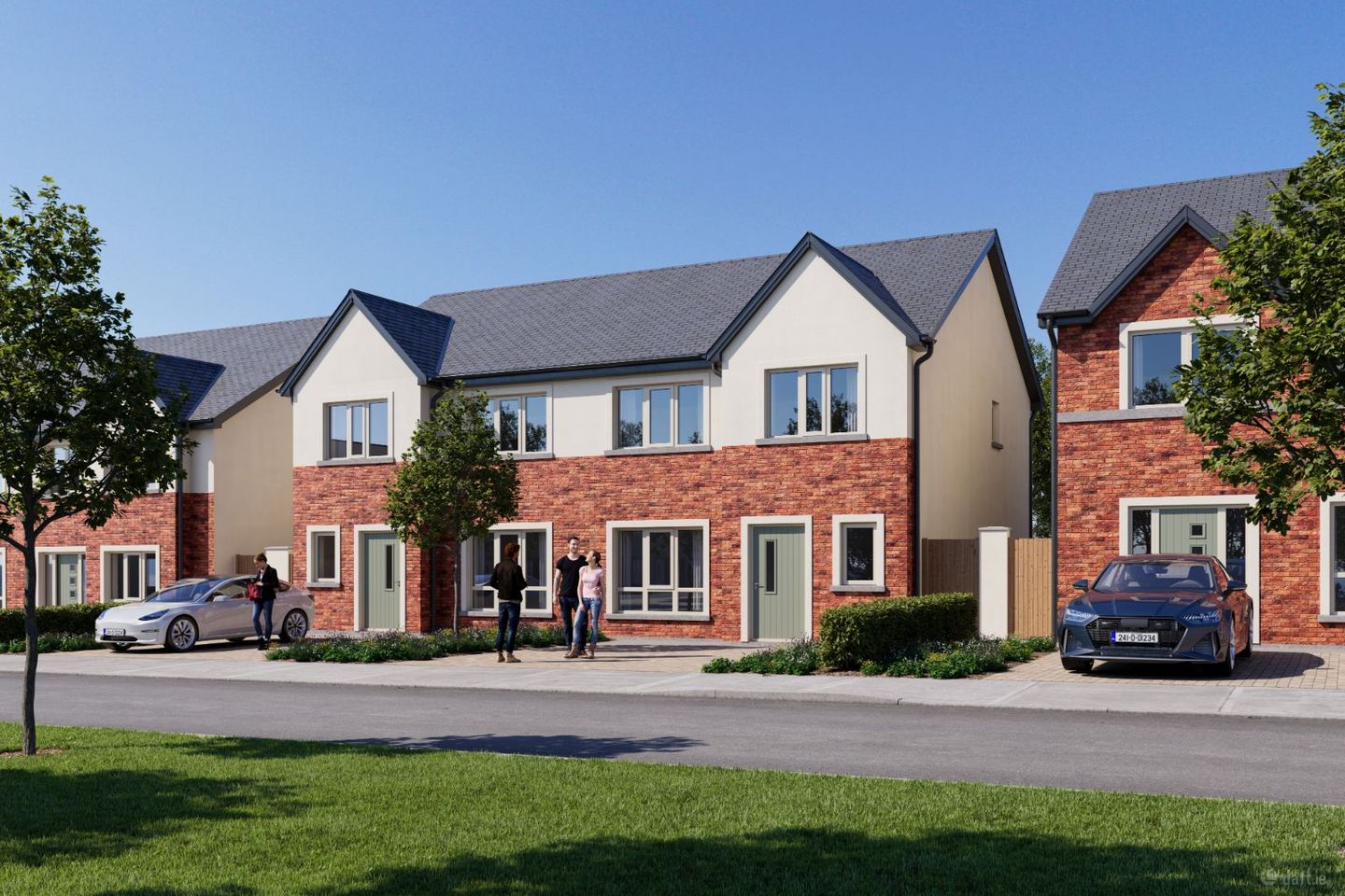 Oak, Millview Demesne, Rathangan, Co. Kildare