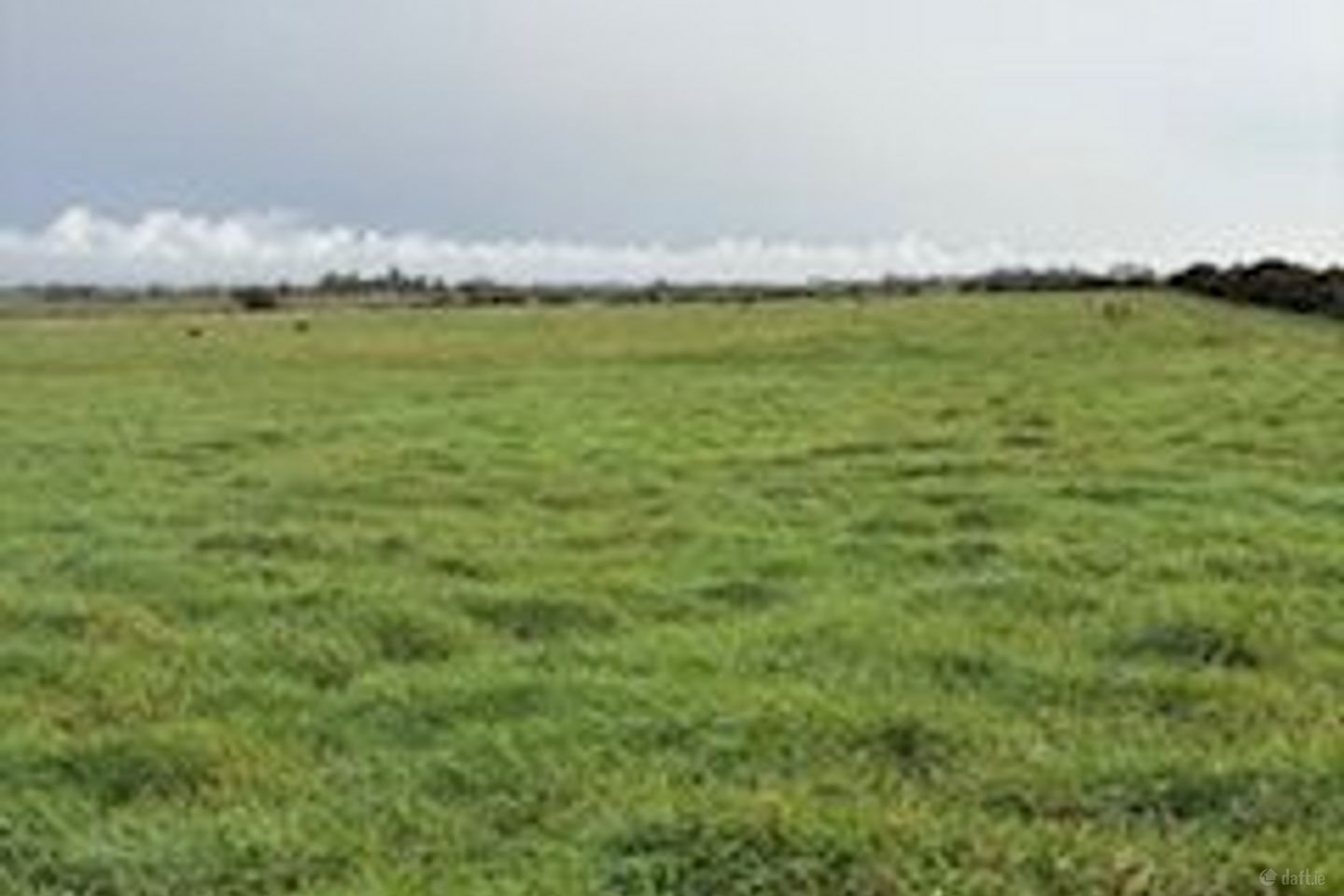 Rathduff, Balla, Castlebar, Mayo, Co. Mayo, F23VY64