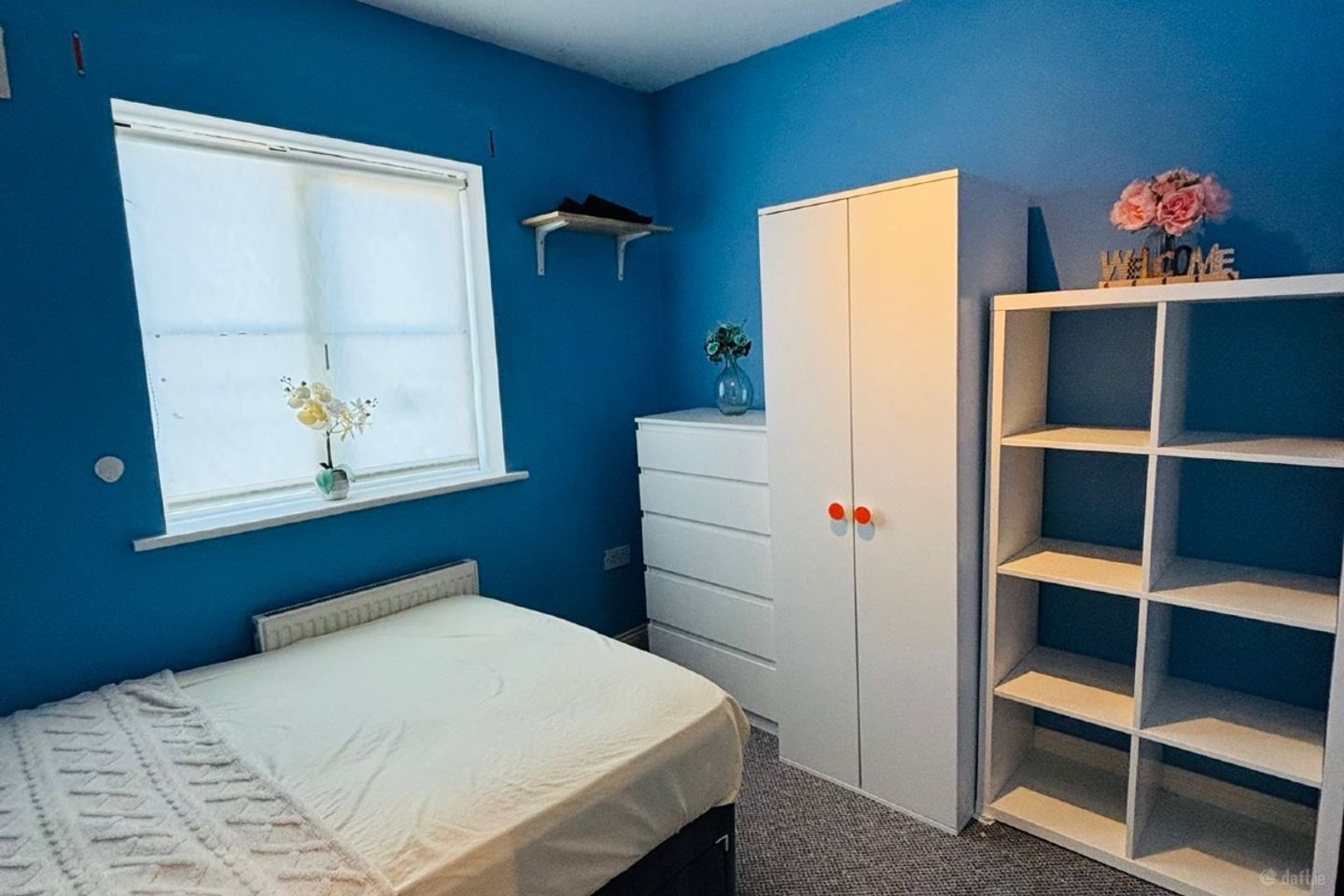 Trimleston,Hamlet Lane,Balbriggan,Co. Dublin, Balbriggan, Co. Dublin