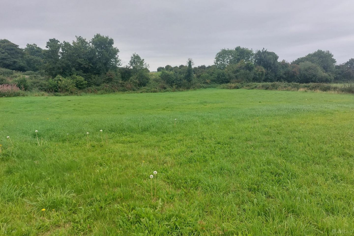 Guileen, Stradbally, Co. Laois