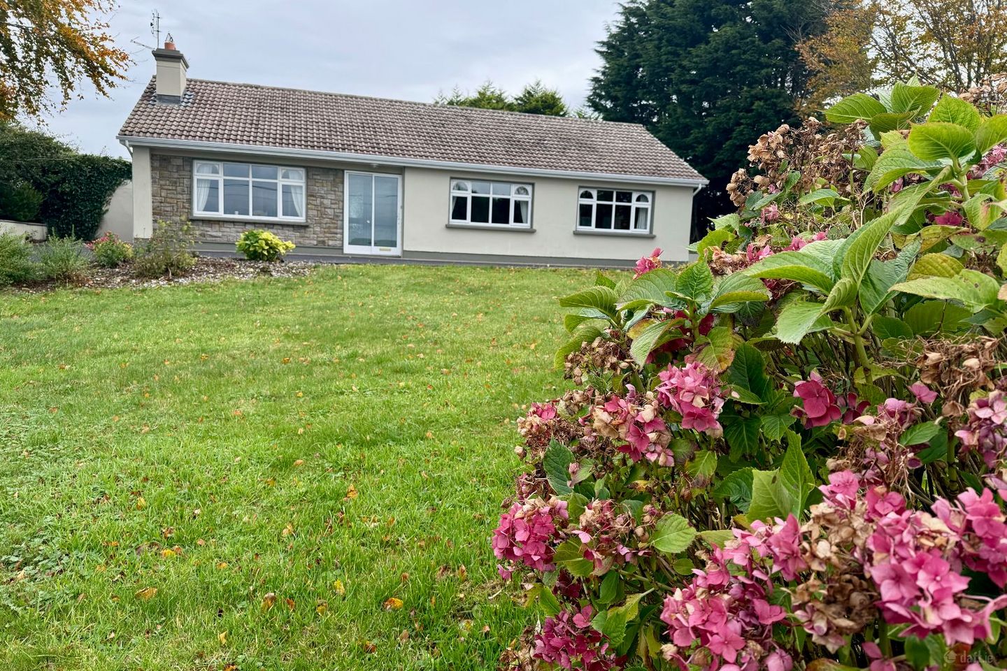 Brackloon West, Bekan, Brackloon, Co. Mayo, F12RX80