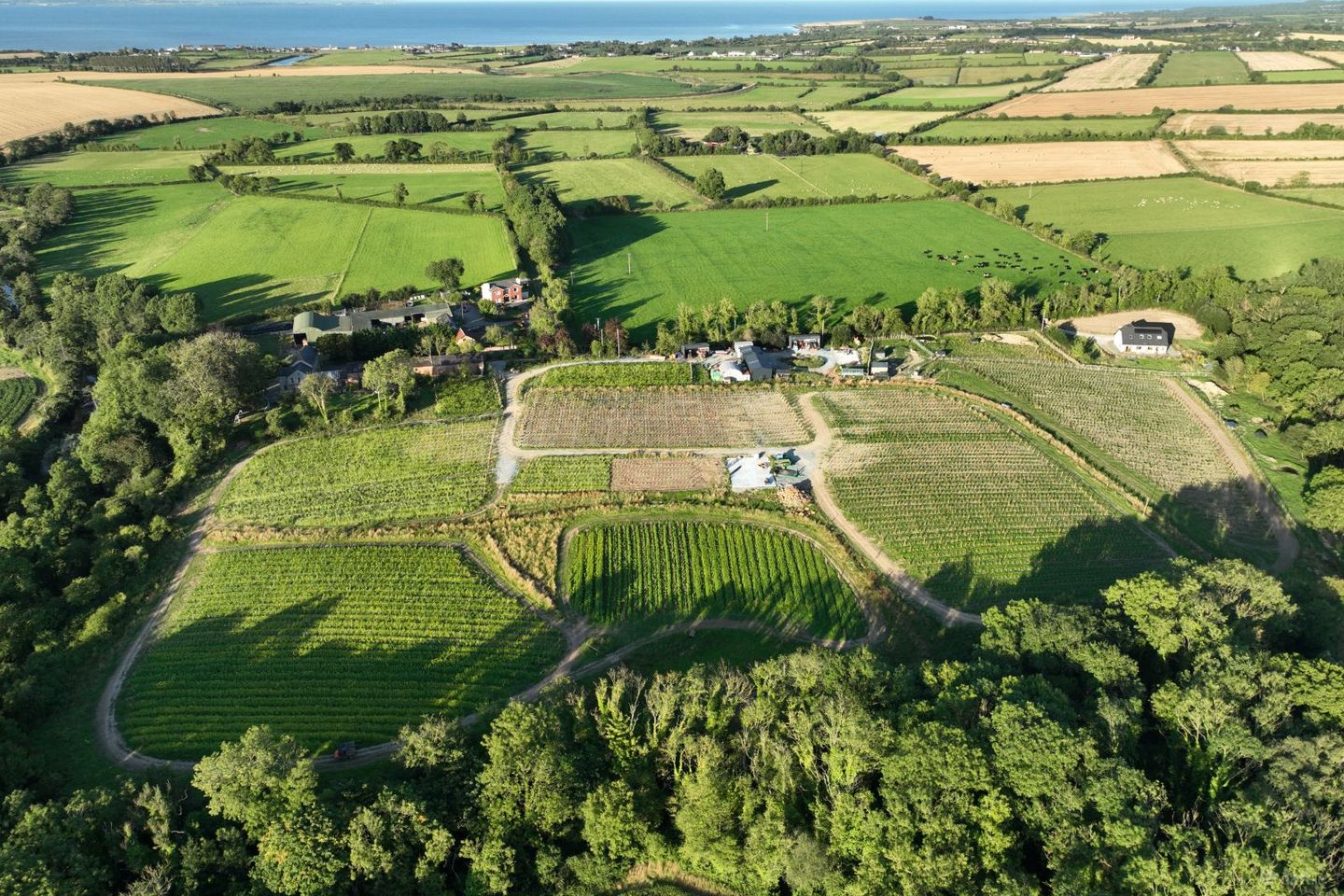 Fairy Trees Winery, Willistown, Drumcar, Co. Louth, A92X22E