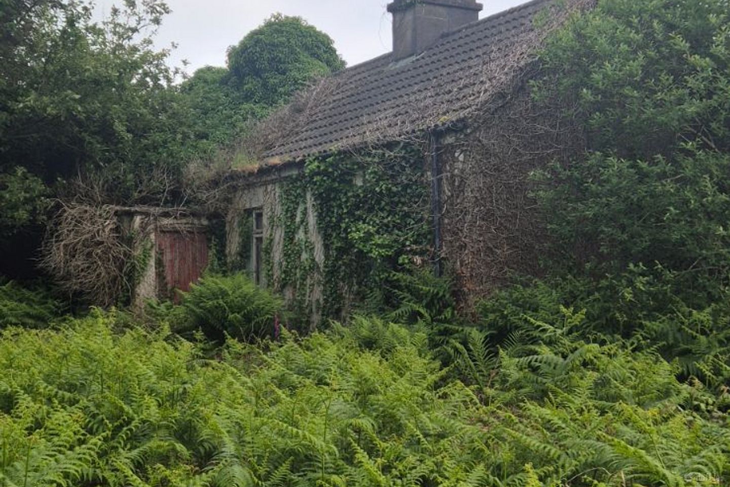 Garrahadoo, Killorglin, Killorglin, Co. Kerry, V93P2F4