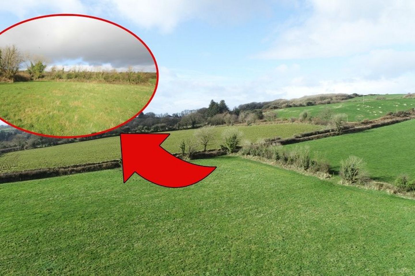 Mossgrove, Bandon, Co. Cork