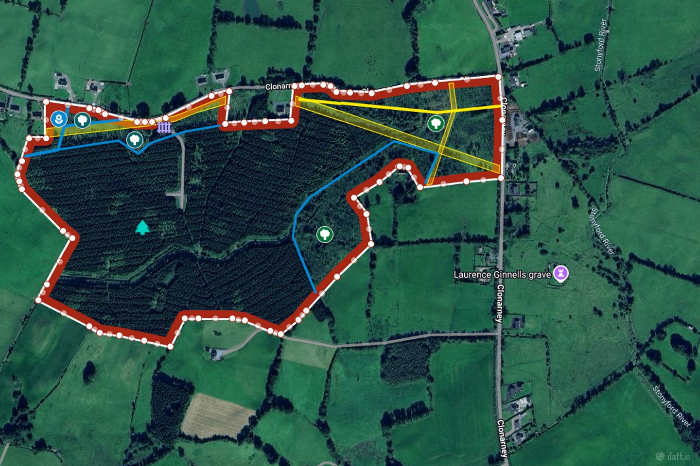 Forest No. 793, Cloonarney, Delvin, Co. Westmeath