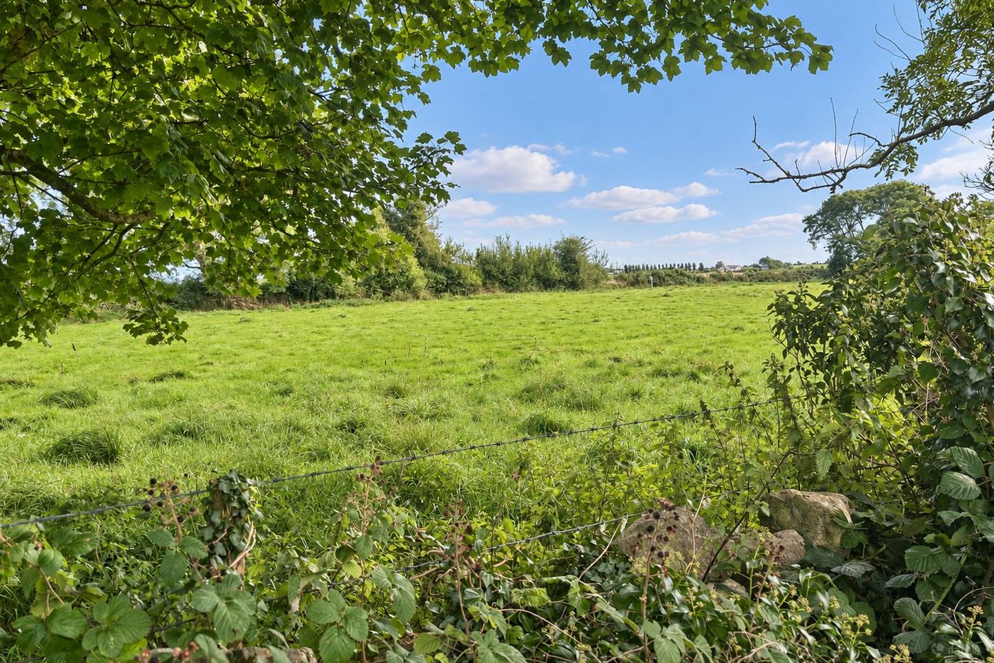 Barbersfort, Barnaderg, Co. Galway