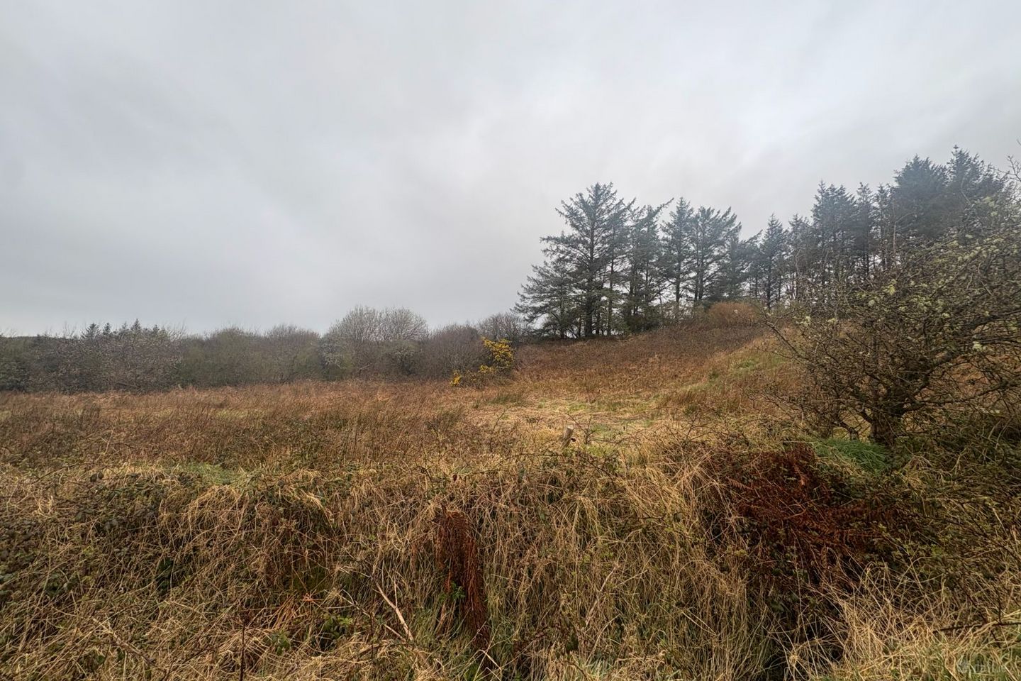 Slievenagry, Kilshanny, Co. Clare