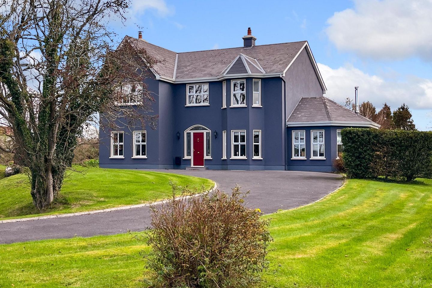 Monivea Demesne, Monivea, Co. Galway, H65X682