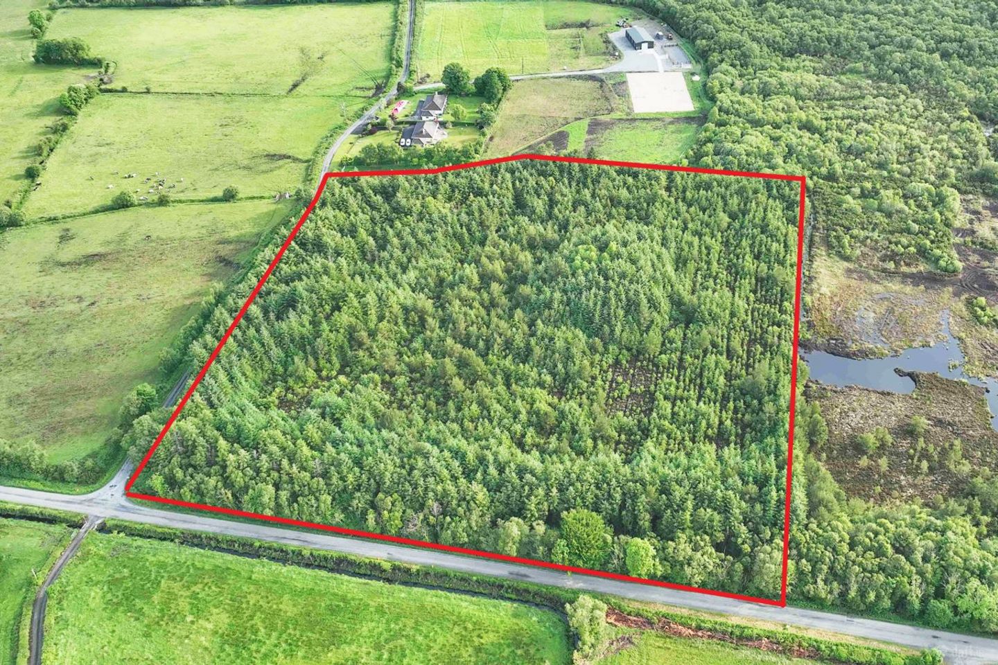 Dalystown, Mullingar, Co. Westmeath