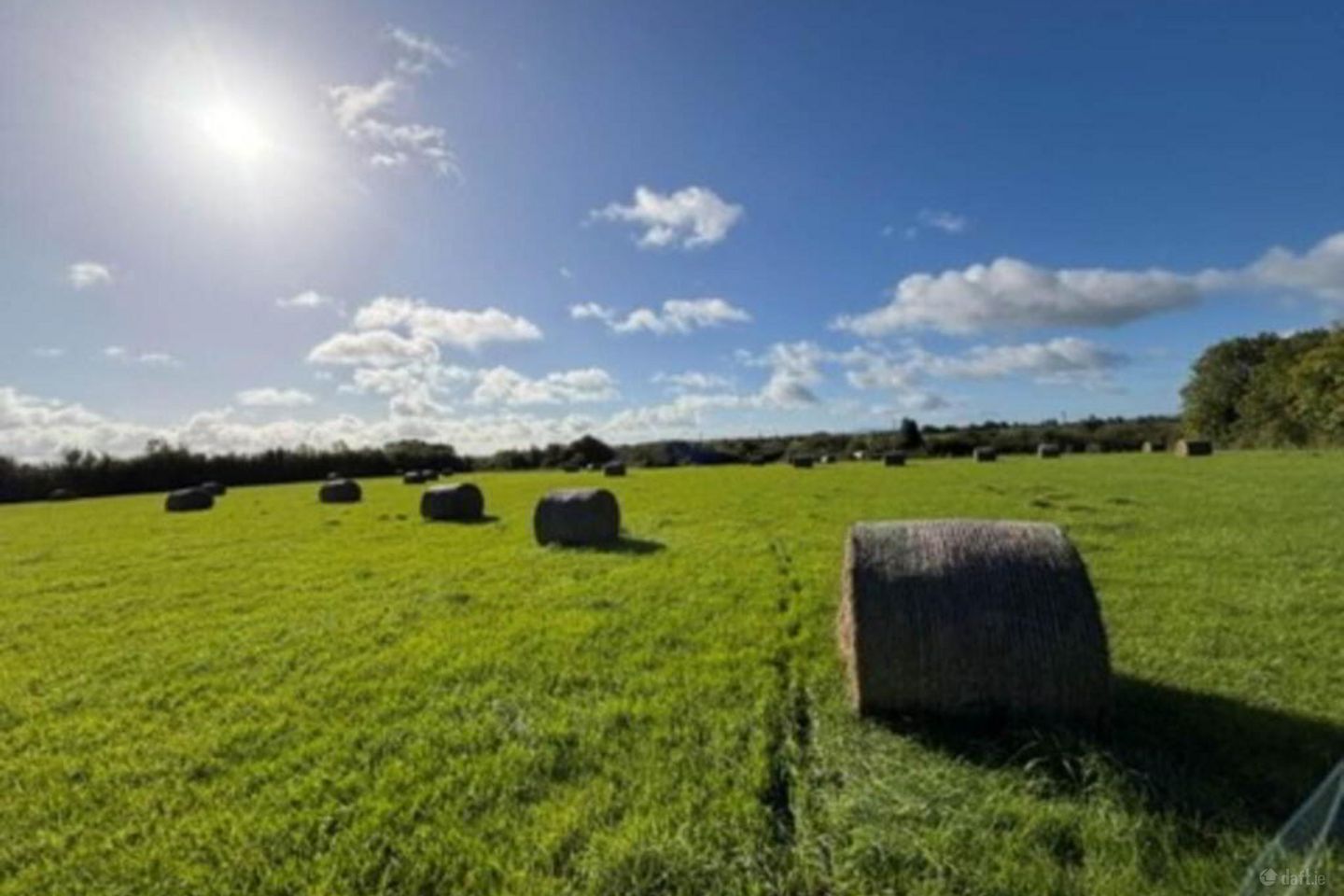 16.29 Ha Or 40.26 Acres, Drumnamahanisland, Borrisokane, Nenagh, Co. Tipperary