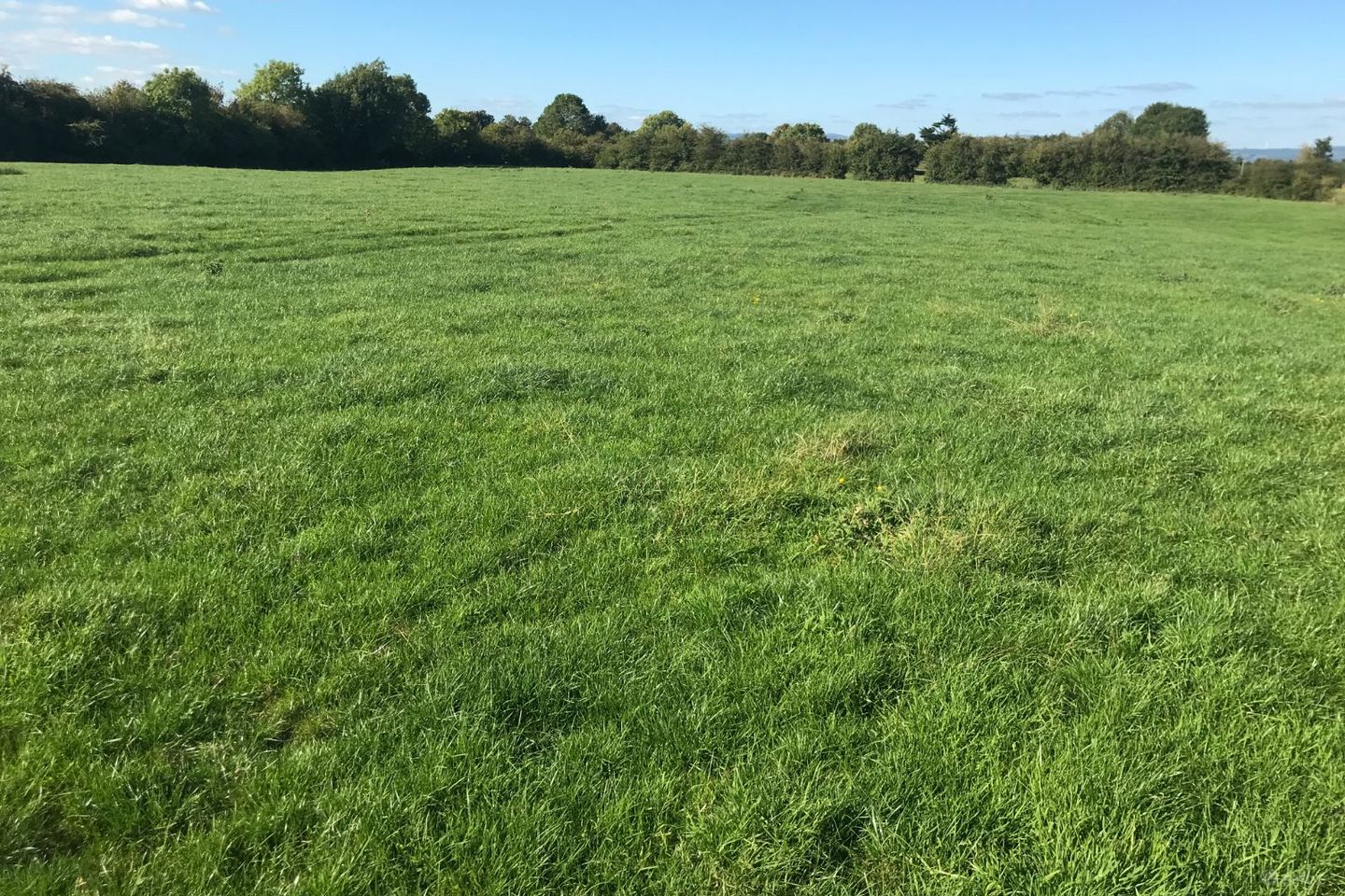 Barronstown, Limerick Junction, Co. Tipperary