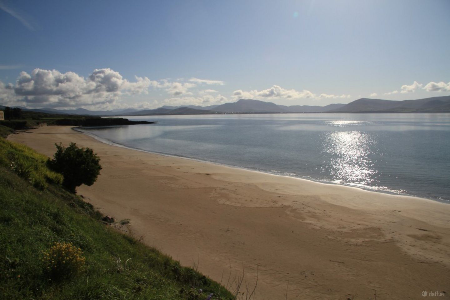 Foxglove, Dungeagan, Ballinskelligs, Co. Kerry, V23A319