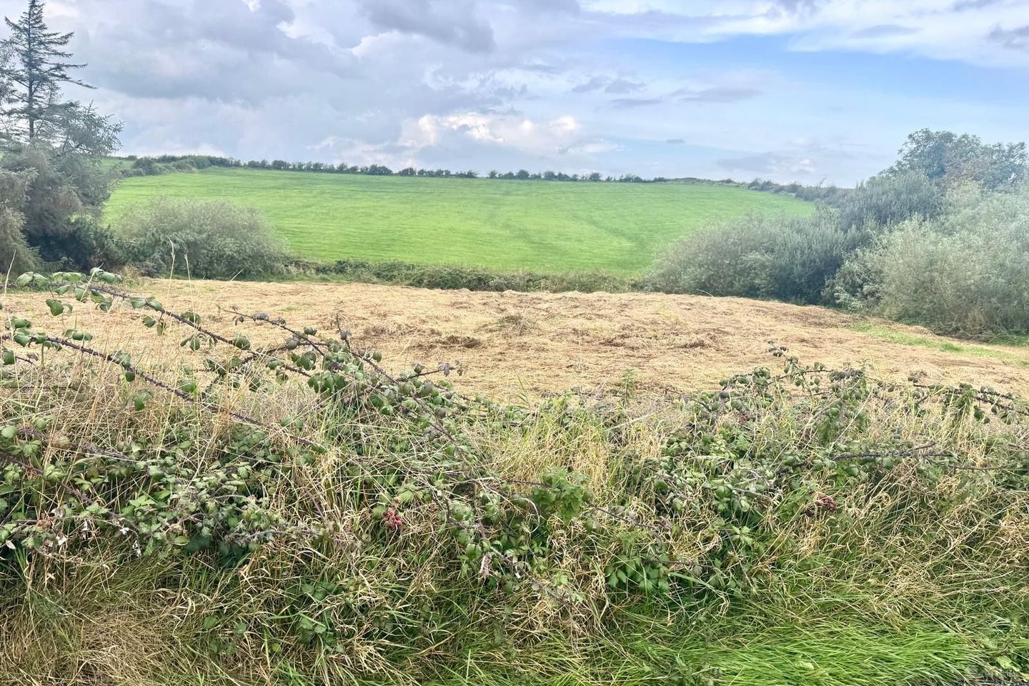 Ballybreen, Kilfenora, Co. Clare