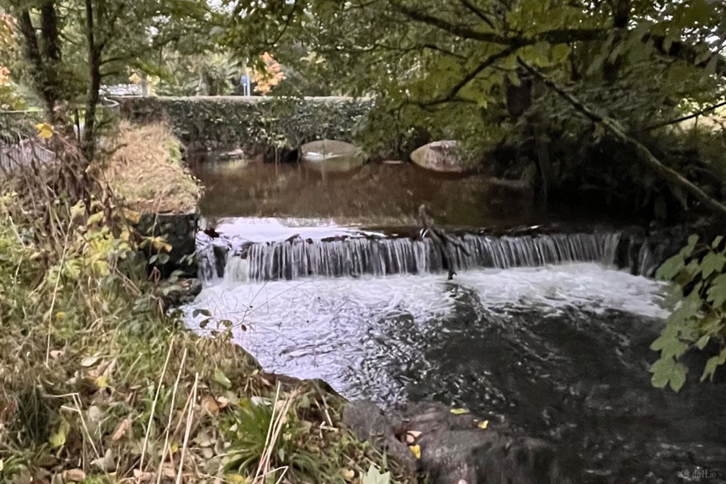 Bishopstown, Curraheen, Co. Cork