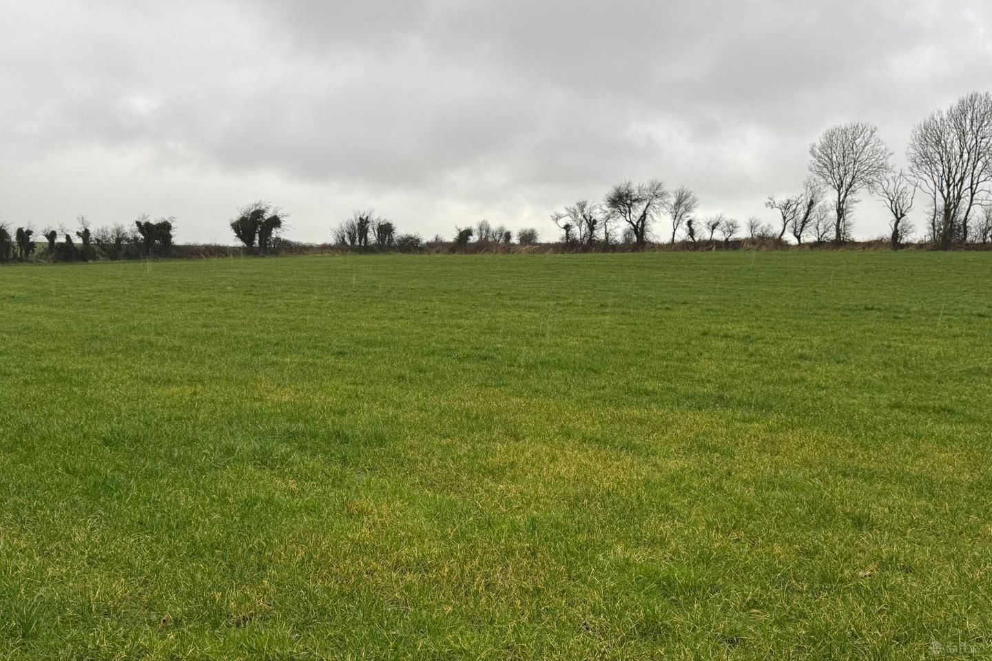 Cloonacross, Milltown, Co. Galway