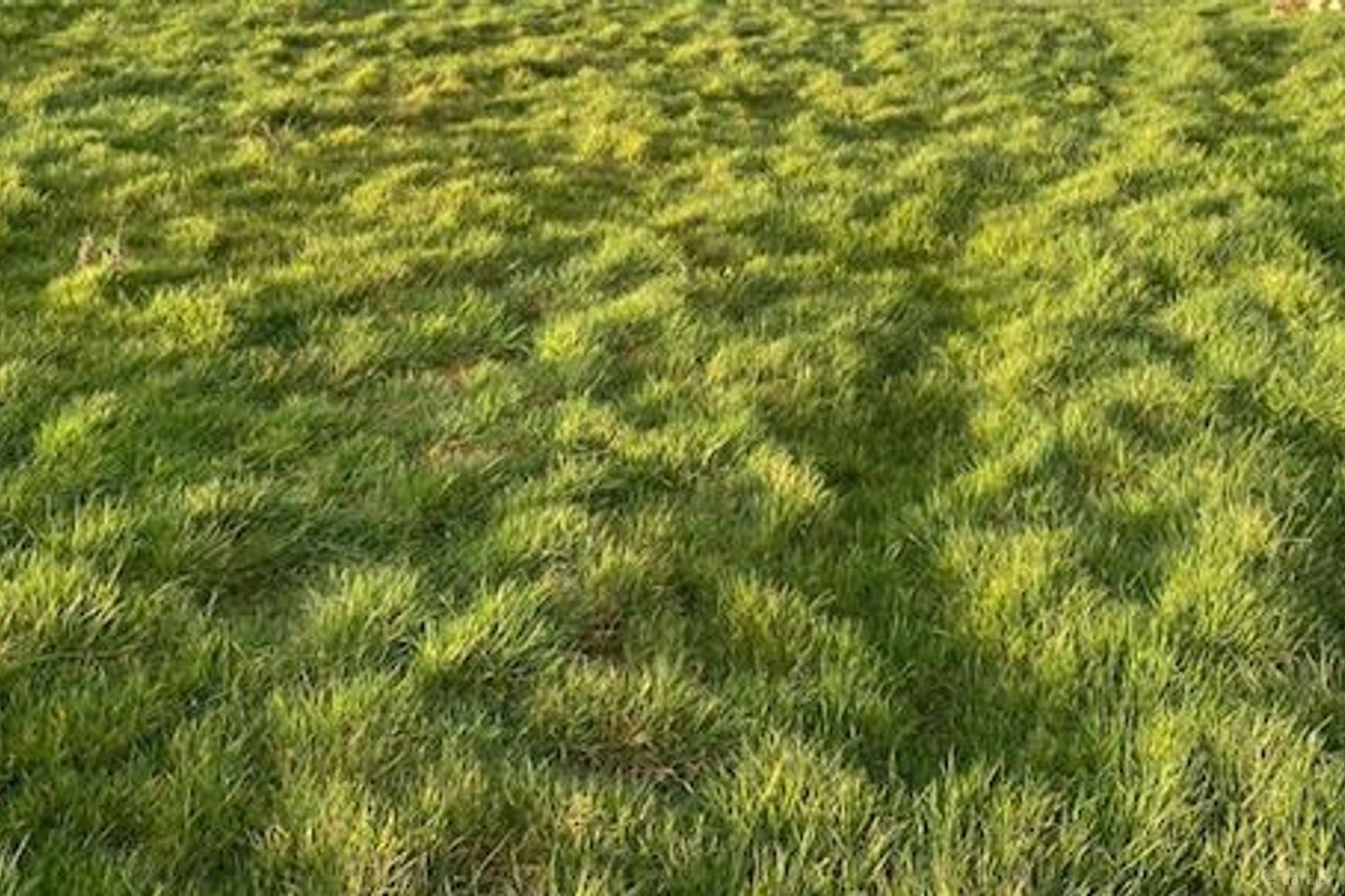 Creevard, Irishtown, Co. Mayo