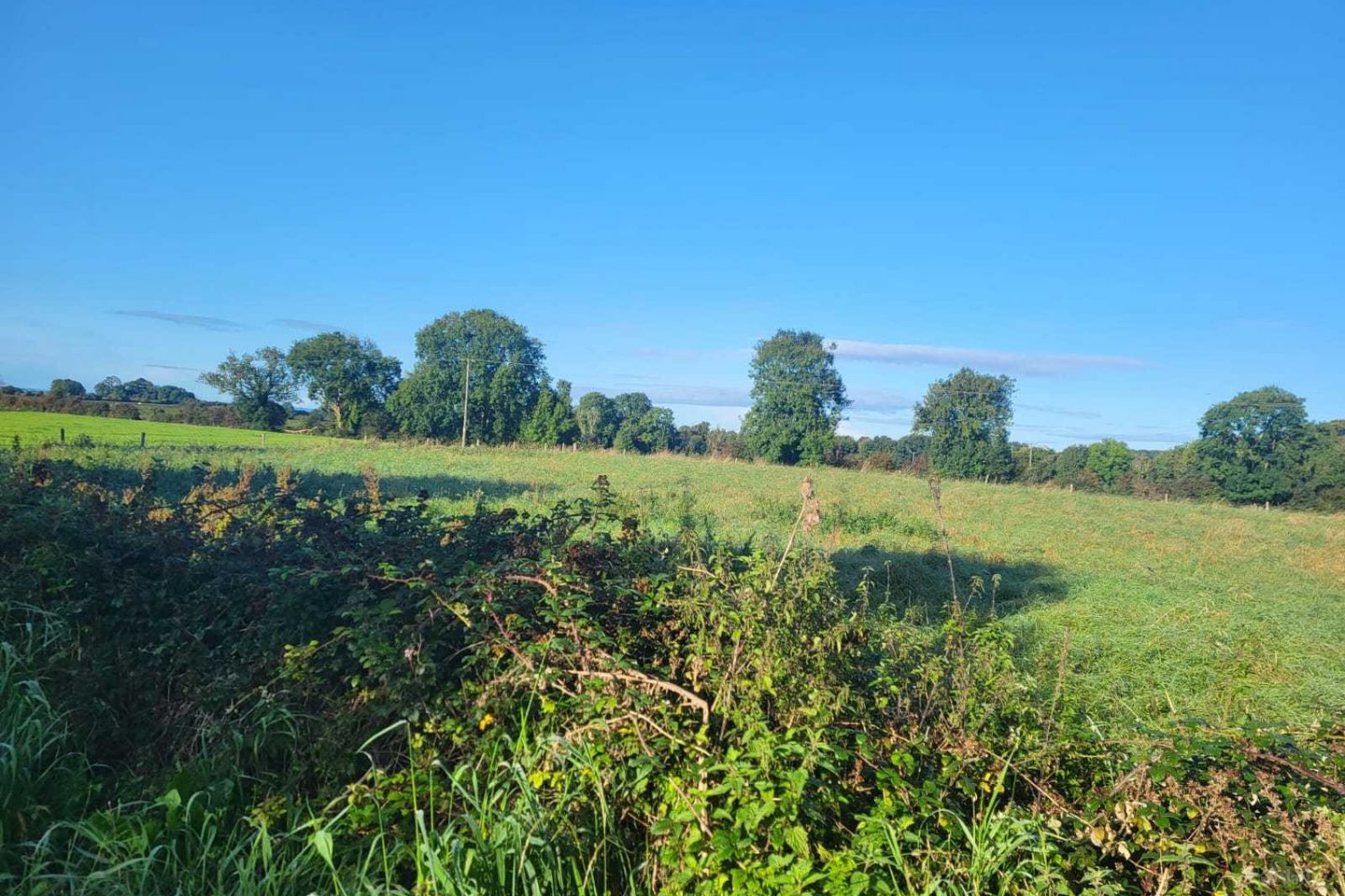 Holycross, Grange, Co. Limerick