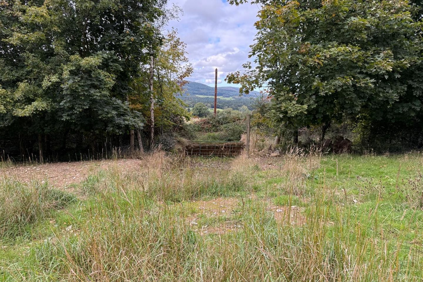 Ballylusk, Ashford, Co. Wicklow