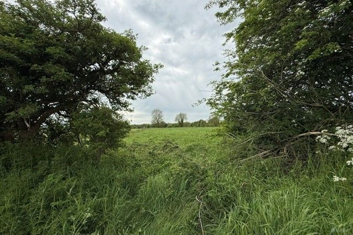 Ardanreagh, Holycross, Co Limerick, Holycross, Co. Limerick