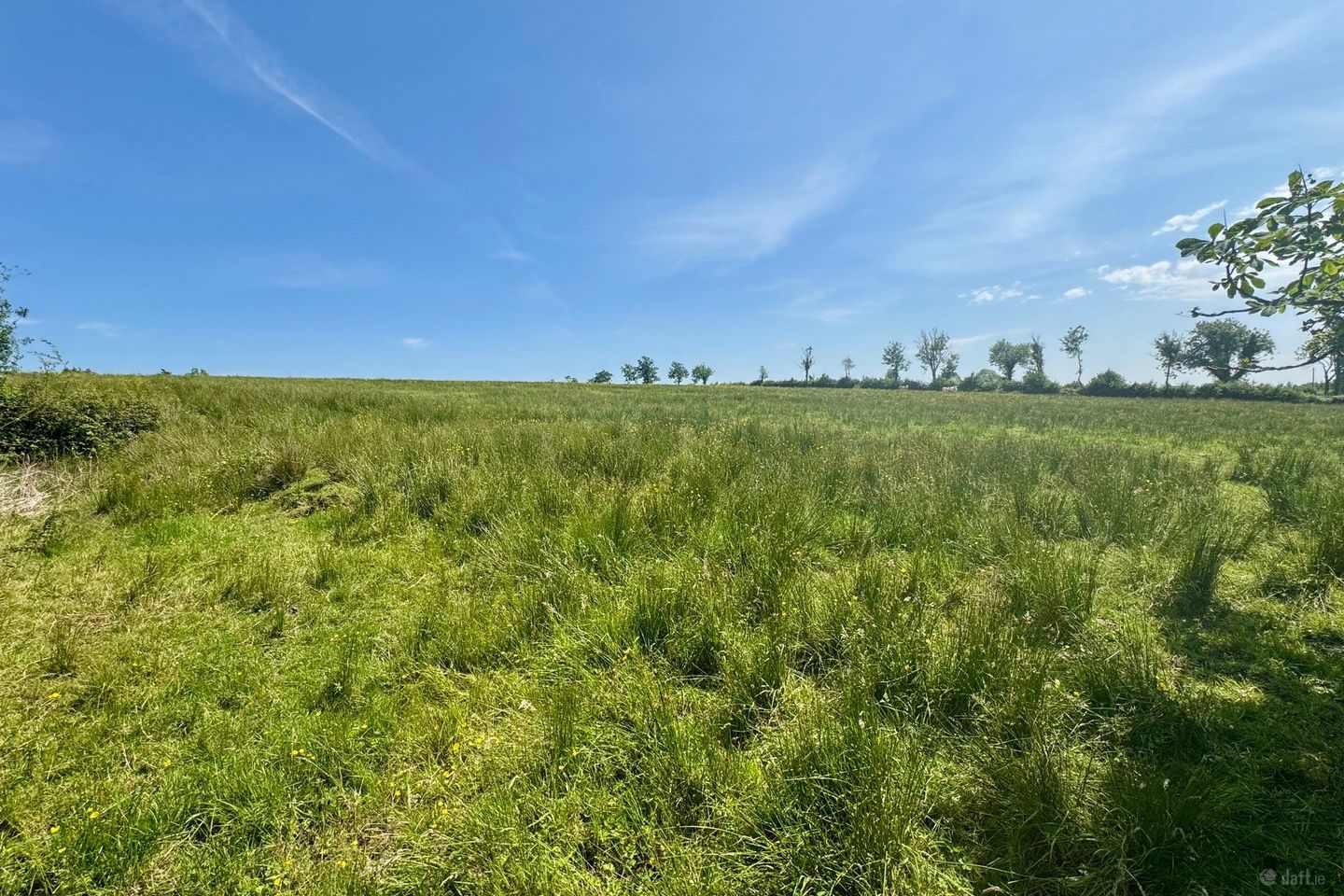 Drumharkan Glebe, Cloone, Co Leitrim, Cloone, Co. Leitrim