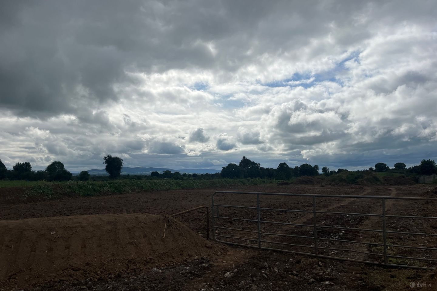 Killeenagallive, Emly, Co. Tipperary