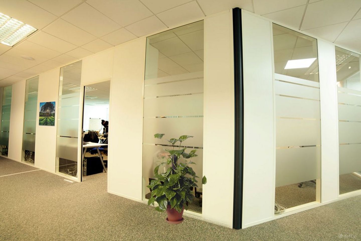 Maynooth, Maynooth, Co. Kildare