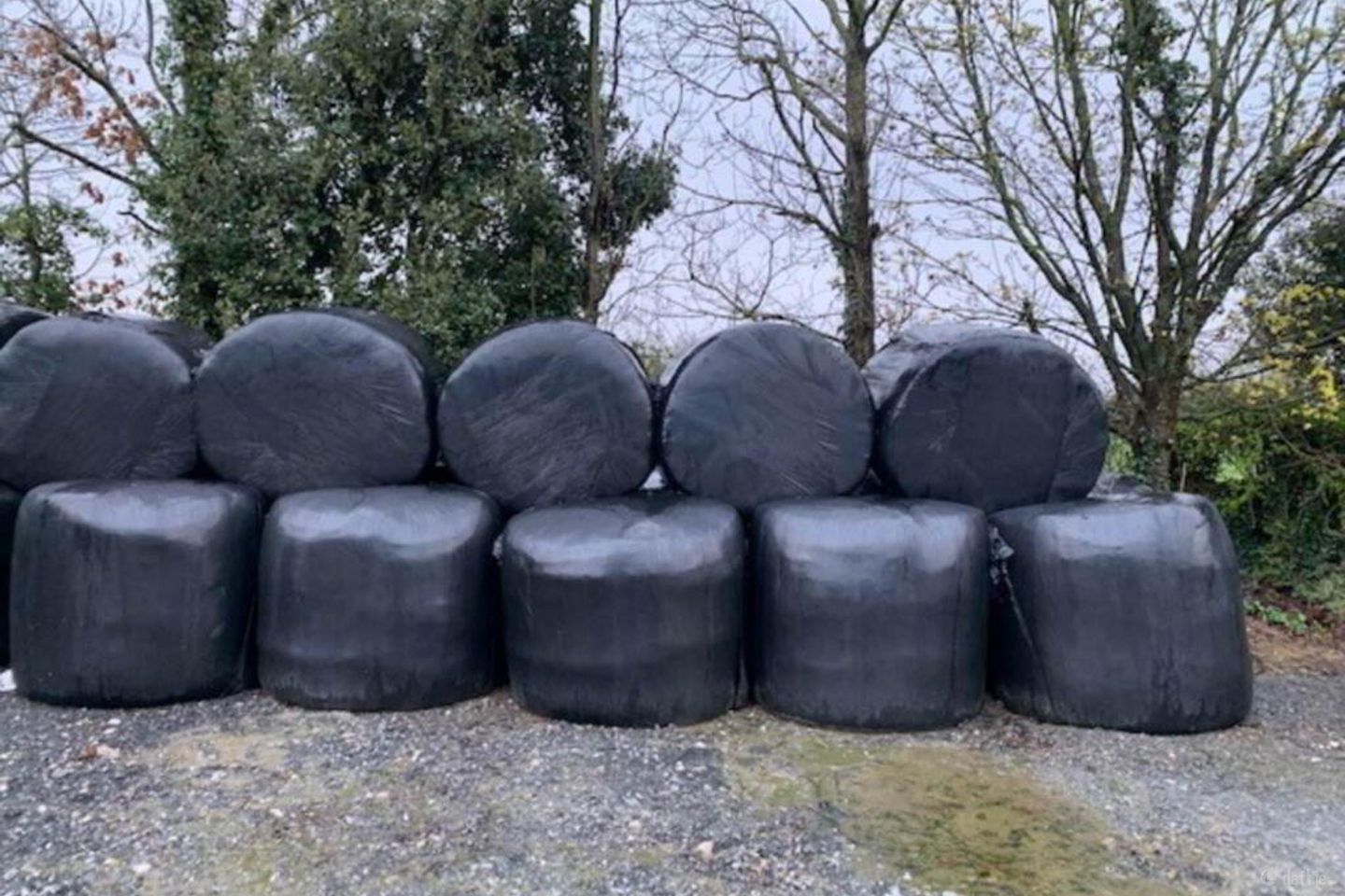 40 Round Bales Of Silage, Nenagh, Co. Tipperary, E45X991