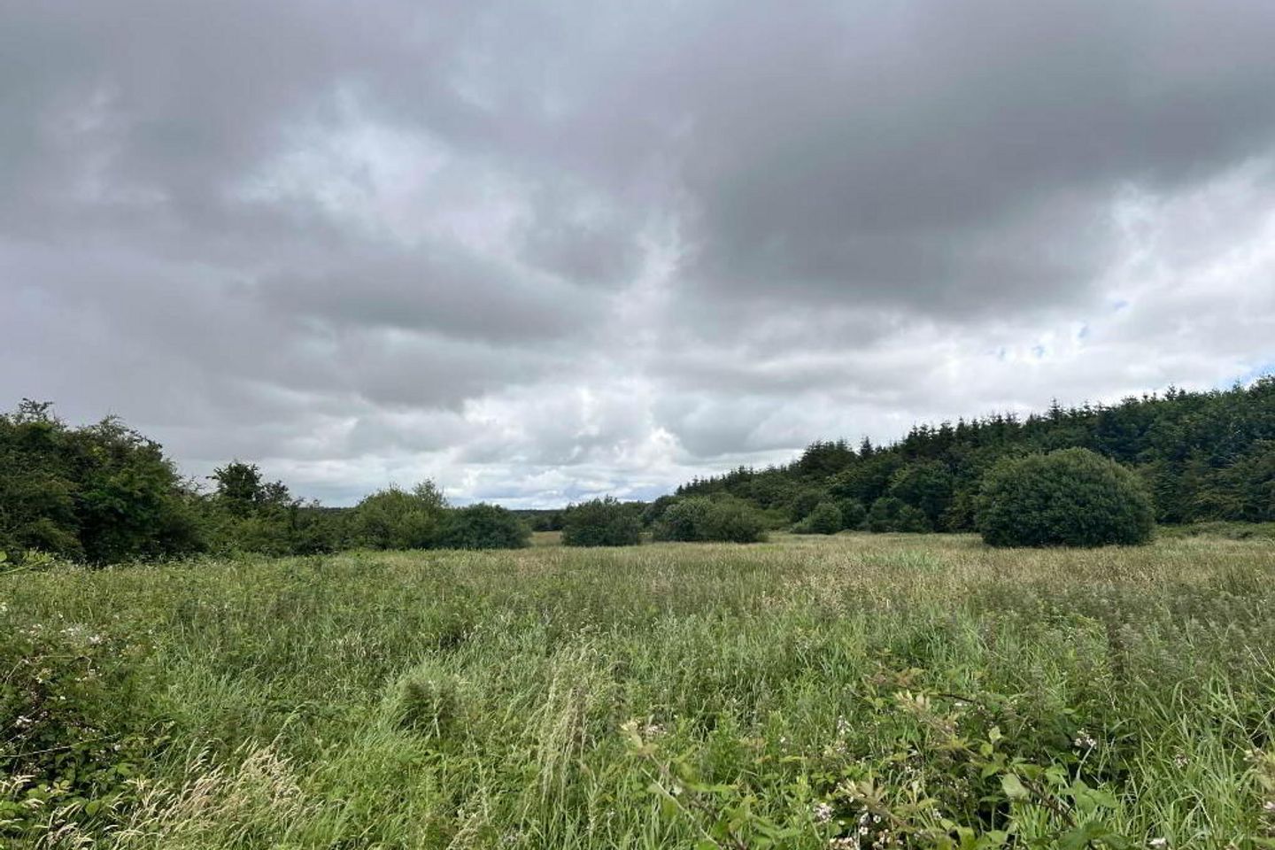 Approx, 4.77 Ha (11, 8 Acres), Ballincurry, Castlerea, Co. Roscommon, F45RF98