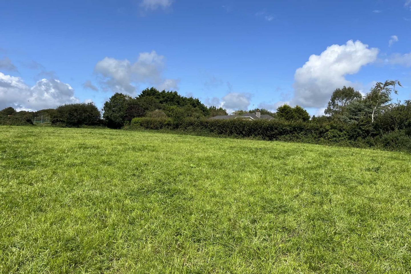 Creagh, Gorey, Co. Wexford