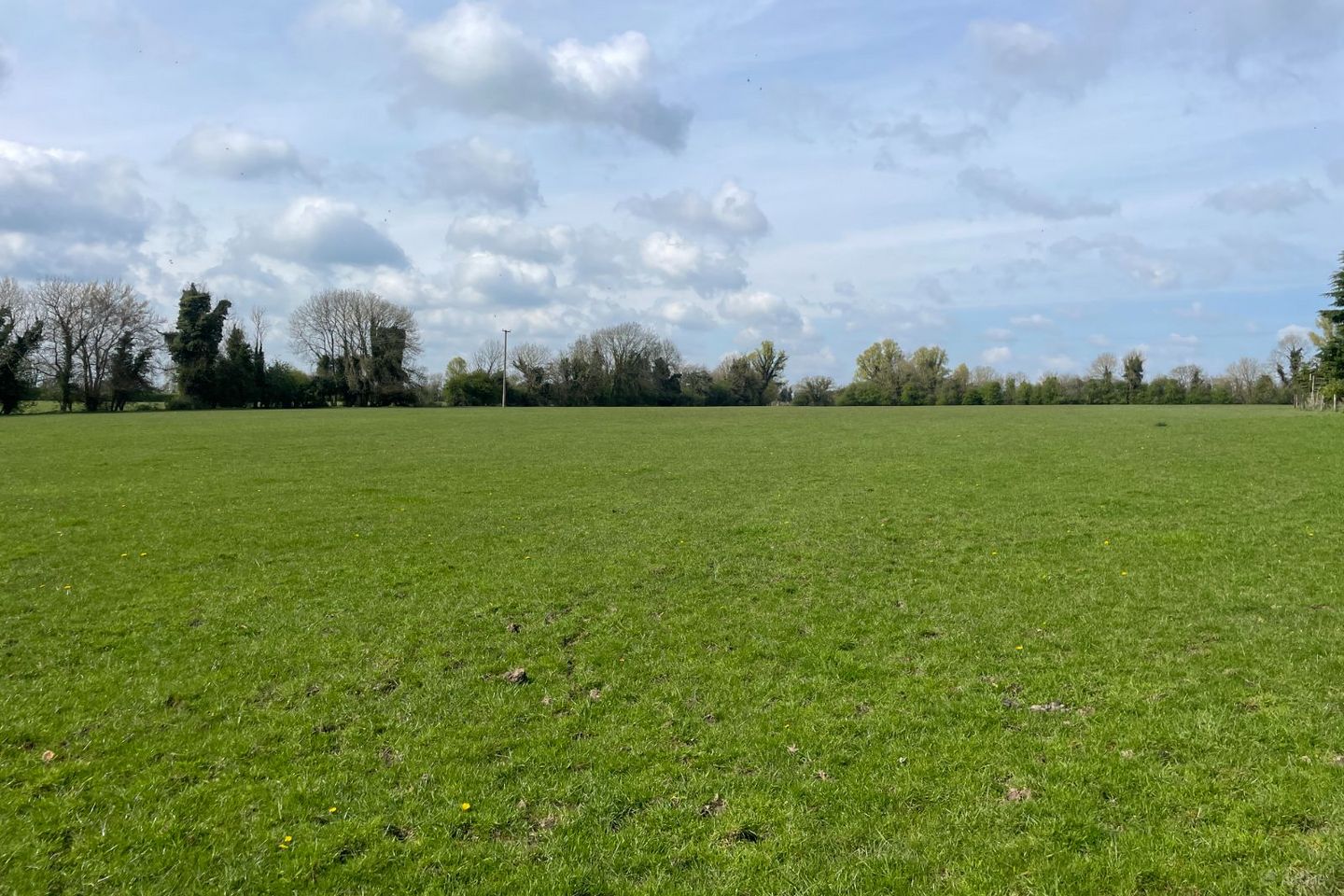 Balgill, Bective, Co. Meath