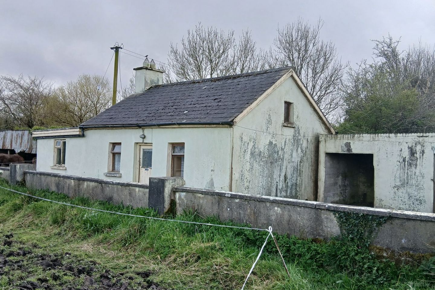 Lyredaowen, Rathmore, Millstreet, Co. Cork, P51KRC4