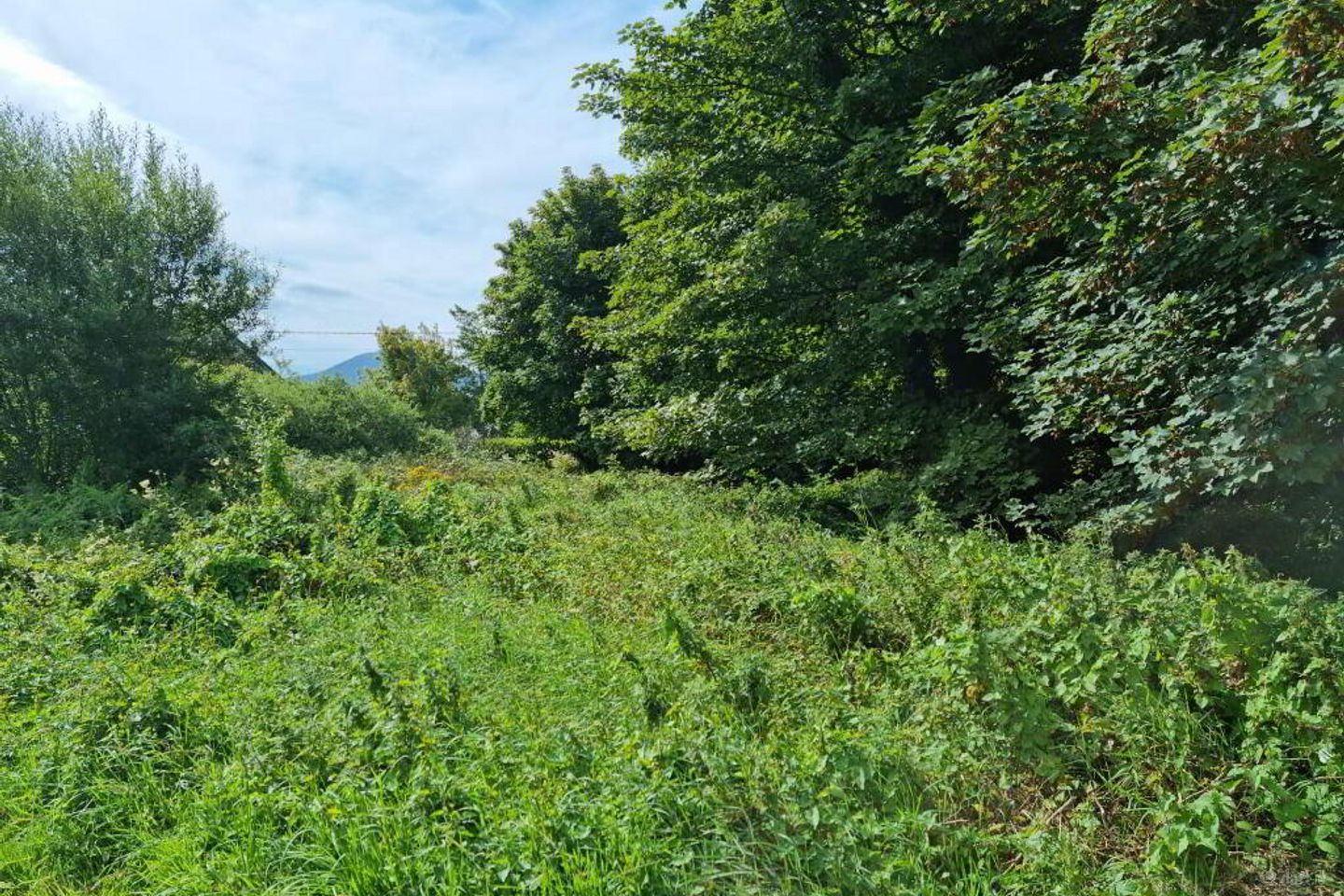 Ballyconnell, Falcarragh, Co. Donegal