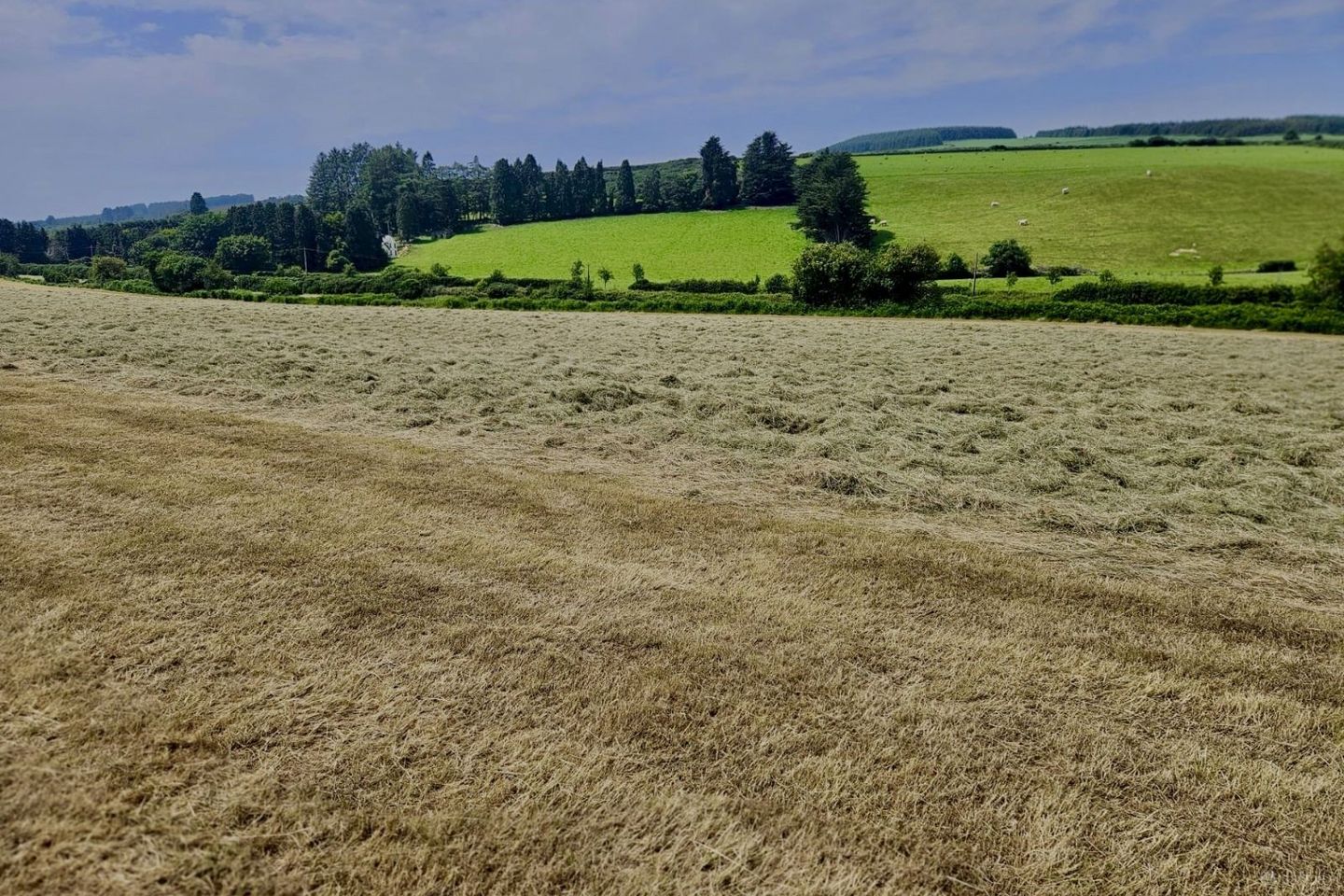 long road, Rathdrum, Co. Wicklow