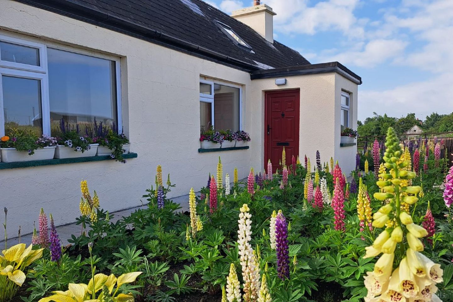Castlecole, Ballinagare, Co. Roscommon
