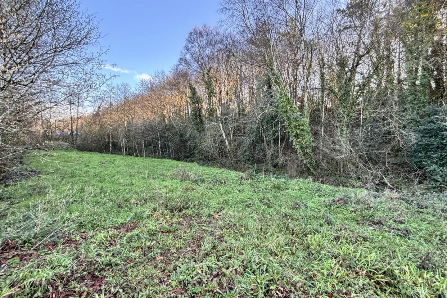 Kiltrea, Enniscorthy, Co. Wexford