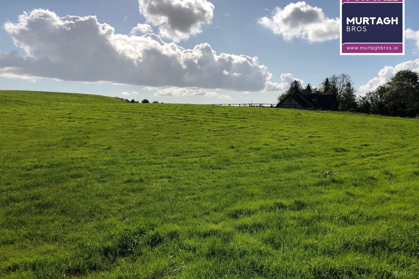 Moatfarrell, Edgeworthstown, Co. Longford