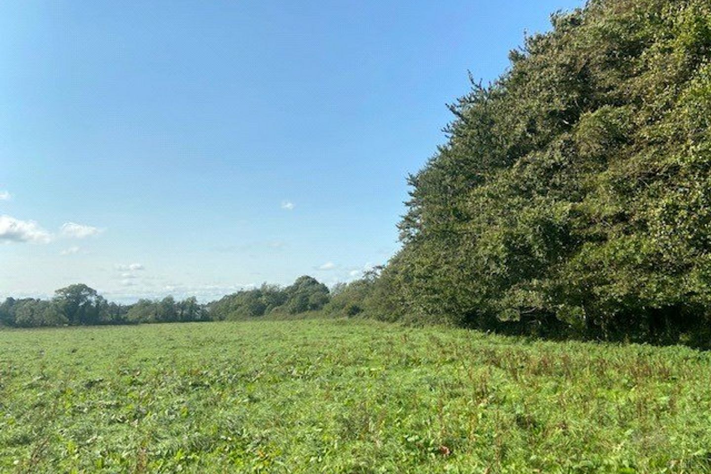 Ballagh Cross, Donadea, Co Kildare