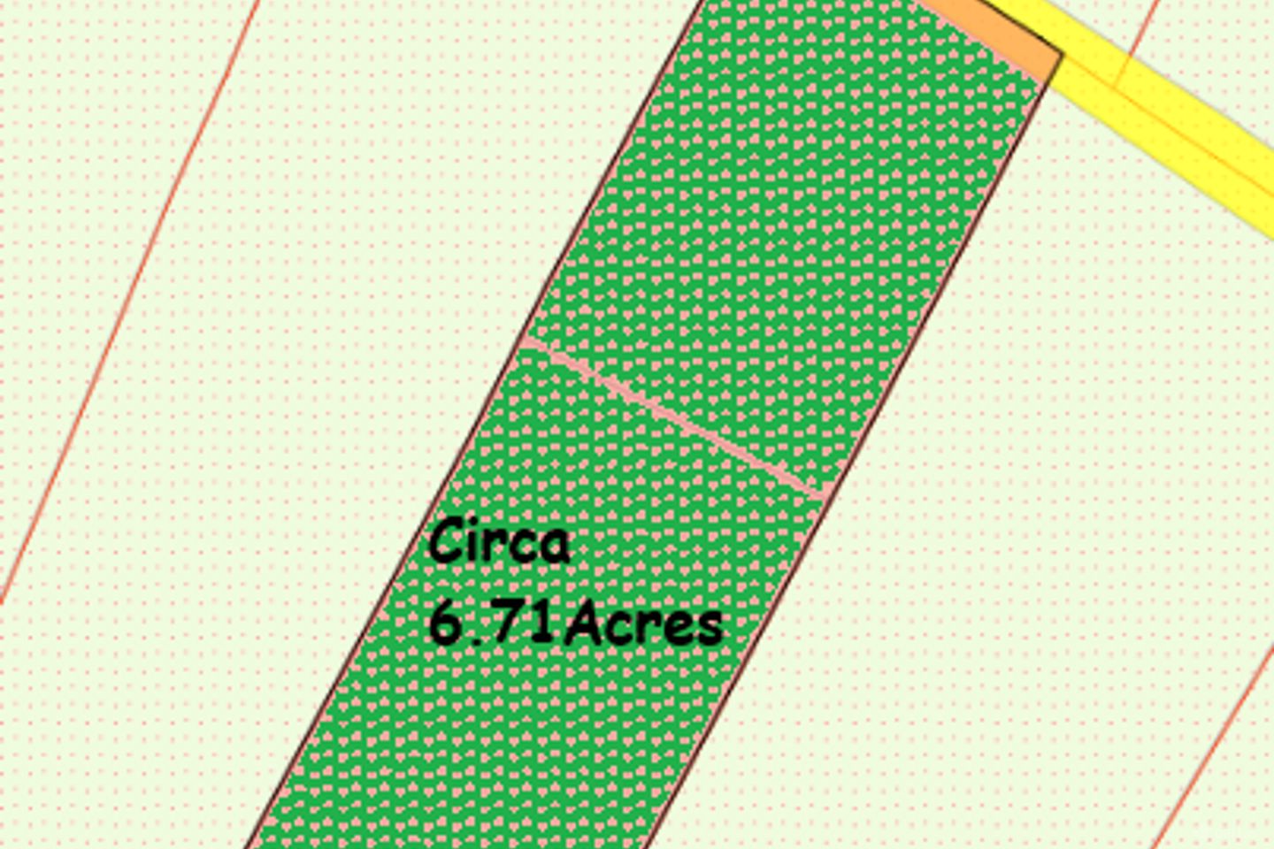 Springfield, Williamstown, Co. Galway