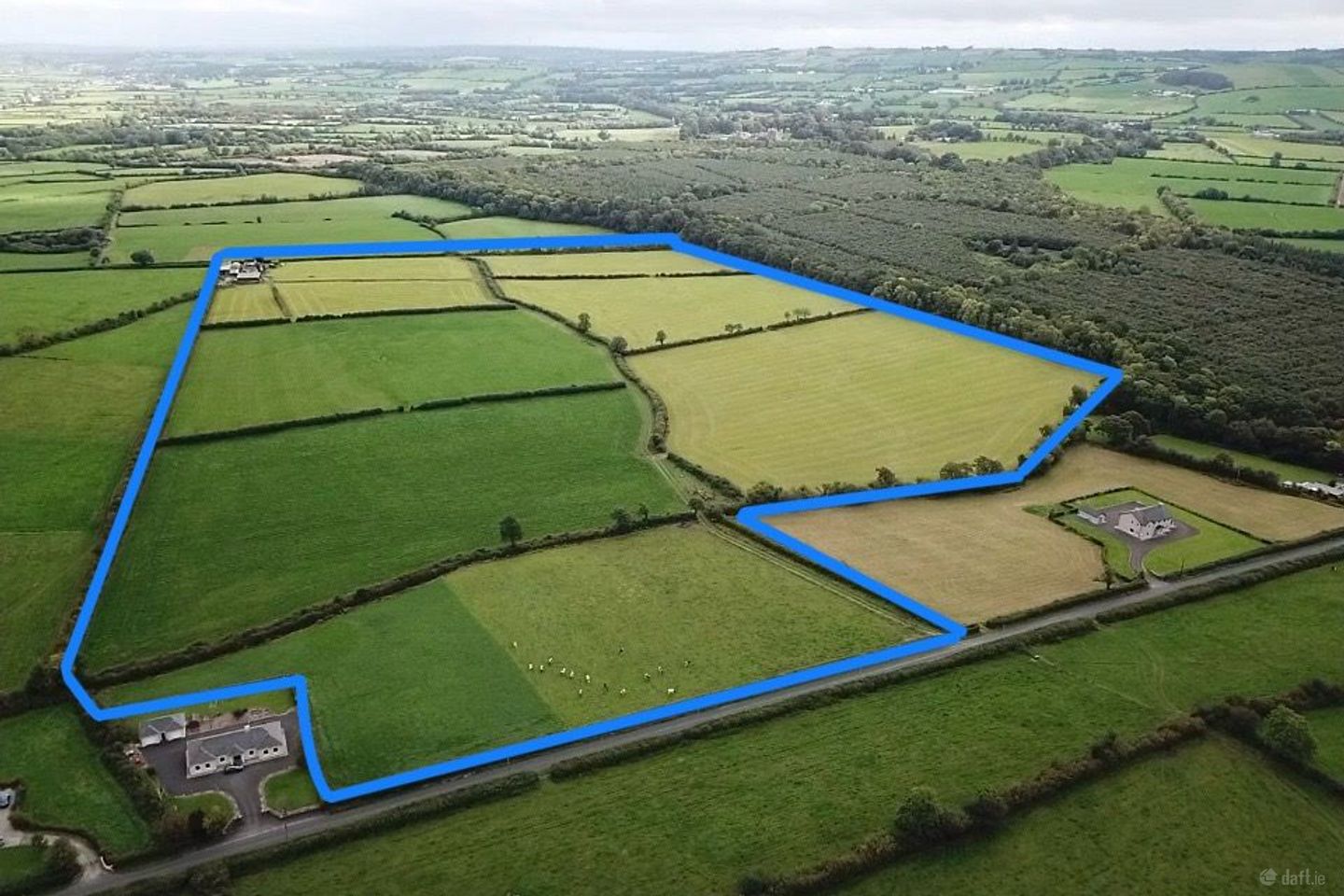 clonmore, Dromcolliher, Co. Limerick
