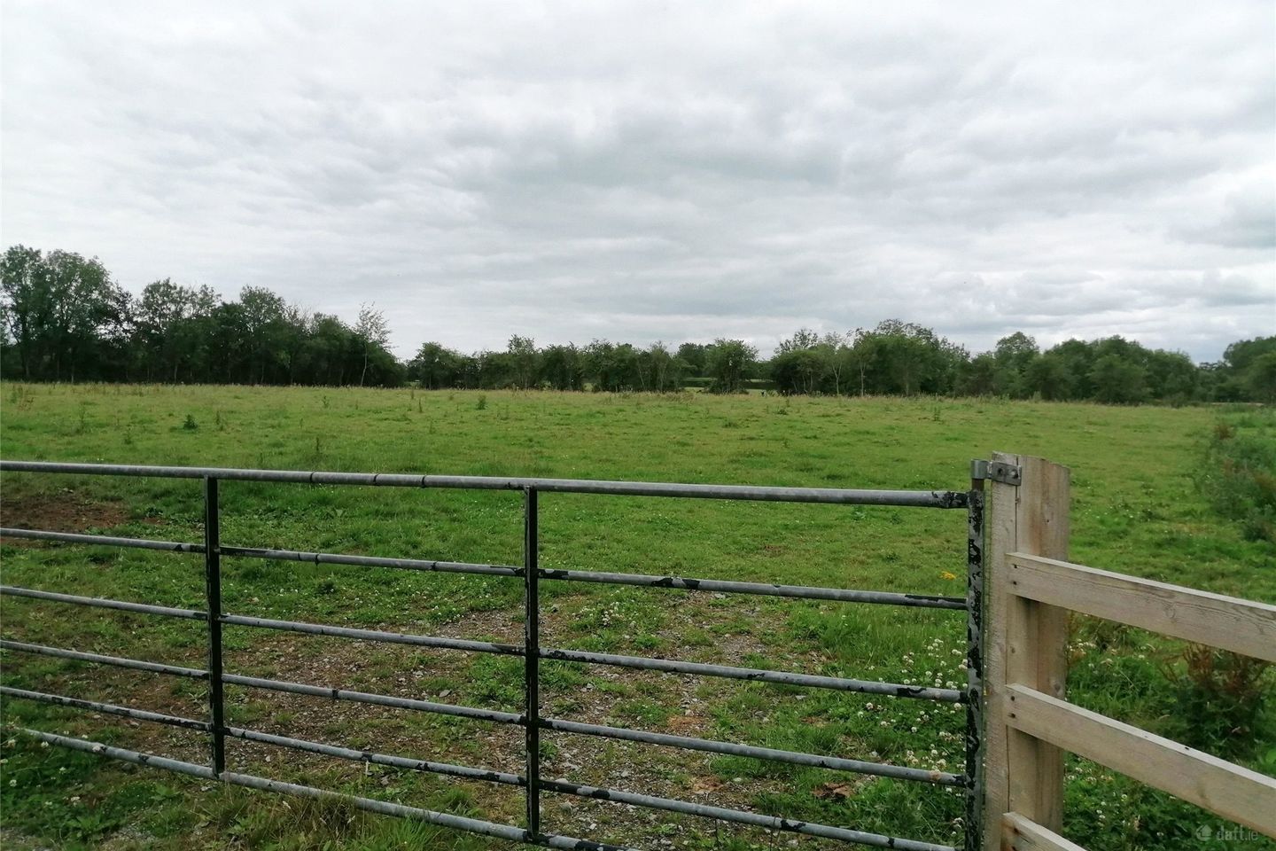 1 Acre Site, Kilkea, Ballyvass, Co. Kildare