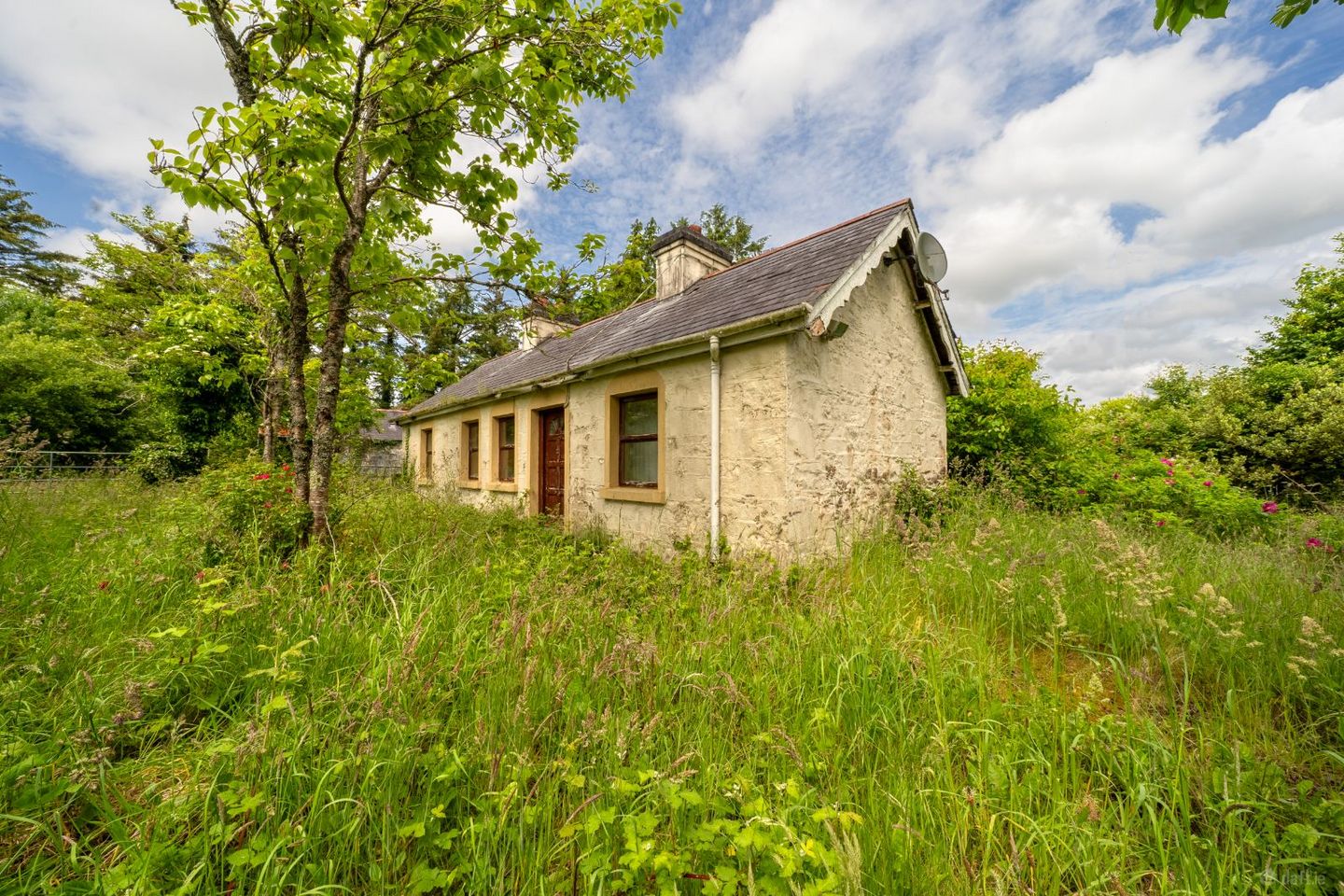 Turlough, Castlebar, Turlough, Co. Mayo, F23H680